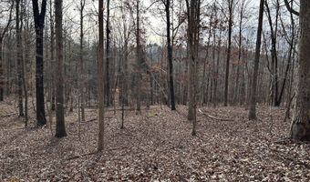 Highway 105, Baldwin, GA 30511