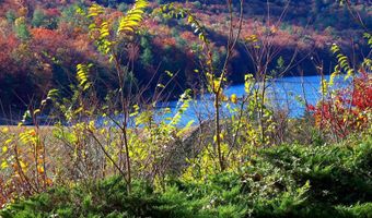 426-30 A THE HILL Rd L-30, Basye, VA 22810