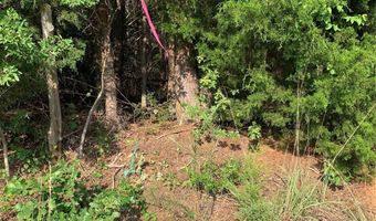 Rock House Road, Blacksburg, SC 29702