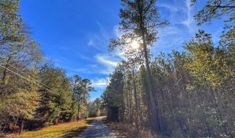 0 County Road 25, Reform, AL 35481