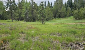 23 Sawtooth Loop, Cascade, ID 83611