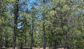001 West Rd, Bethune, SC 29009