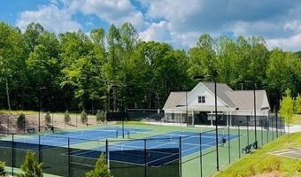 124 Hawks Ct, Ball Ground, GA 30107