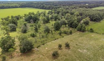 TBD 10th St, Bell, FL 32619