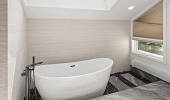 75 Bennett Ct, Aspen, CO 81611