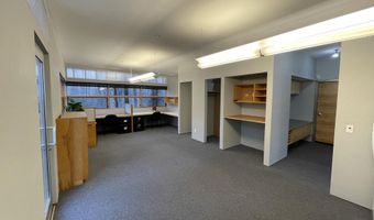 129 Emma Rd Unit B, Basalt, CO 81621