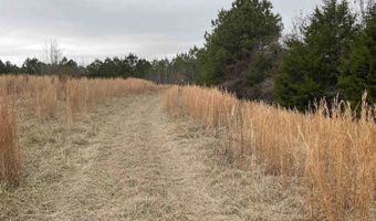 34655 Co Rd 49, Beaverton, AL 35544