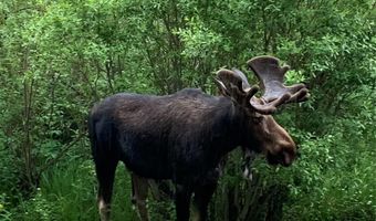 455 VILLAGE Rd 102, Breckenridge, CO 80424