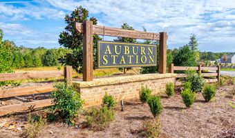 313 Brook Landing Cir, Auburn, GA 30011