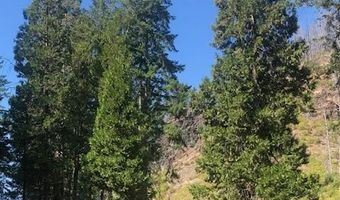 91591 Blue River Reservoir Rd, Blue River, OR 97413