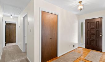 7113 JUDITH Ave, Alexandria, VA 22315