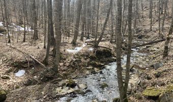 0 TBD Elleber Sods Rd, Bartow, WV 24920