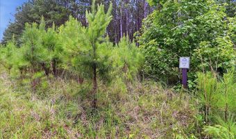 31 Waterside Pt, Abbeville, SC 29620