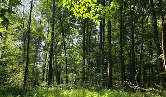 11128 Coleman Rd, Bennington, IN 47011