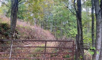 Bandy Rd / Whitaker Ridge Area, Bandy, VA 24602