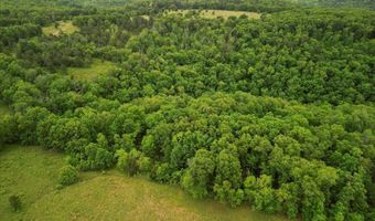 7064 County Road 14-223, Ava, MO 65608