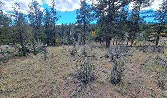1077 Roland Dr Lot 3, Bailey, CO 80421