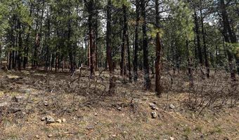 101 Pine Crest Dr, Bayfield, CO 81122