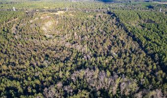 0 Morris Lndg, Baxley, GA 31513