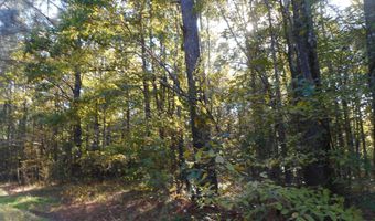 E-S Drive, Braxton, MS 39044