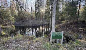 V/L Wildwood Road lot 1, Alger, MI 48610