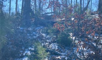 38 Waterside Pt, Abbeville, SC 29620