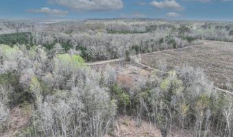 919 County Road 6628, Banks, AL 36005
