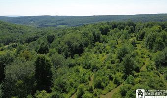 1868 Hess Rd, Andover, NY 14806