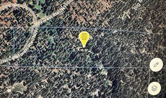 550 Cabbage Patch Log Rd, South Lake Tahoe, CA 95223