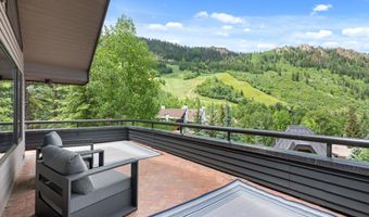 730 S Galena St, Aspen, CO 81611