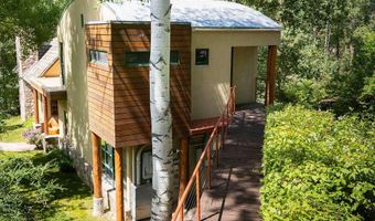 109 Neale Ave, Aspen, CO 81611