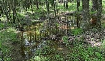 8494 E Nightingale, Atoka, OK 74525