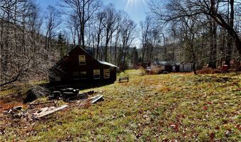 339 Mountain Lake Rd, Andes, NY 13731