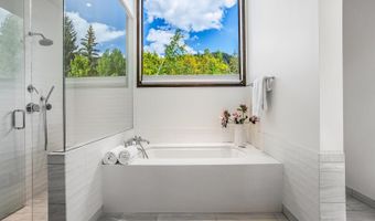 130 Primrose Path, Aspen, CO 81611