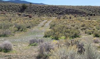 Trout Creek Road APN 007-22-59, Battle Mountain, NV 89820