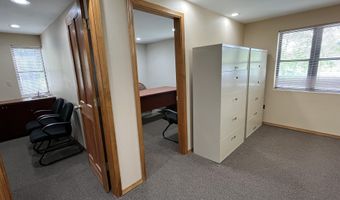 206 E Cody Ln, Basalt, CO 81621