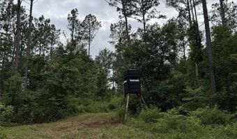154 County Road 38 Acres, Banks, AL 36005