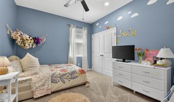 6313 SUNSAIL Pl, Apollo Beach, FL 33572