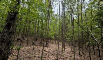 Stewart Road, Addison, NY 14801