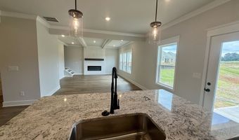 214 Fowler Farms Dr, Auburn, GA 30011