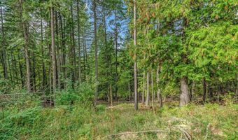 NKA Silver Creek Road, Clark Fork, ID 83811