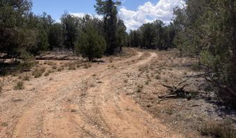 00 Off Of Rainy Rd 64, Ash Fork, AZ 86320