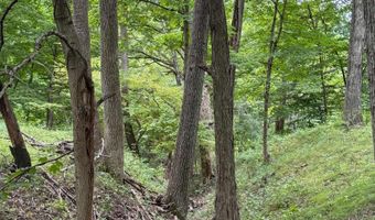 tbd N 225 E Road, Attica, IN 47918