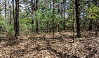 S Badger Lane lot 38, Arkdale, WI 54613