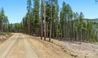 653 Summit Gulch Rd Lot 1, Breckenridge, CO 80424