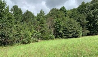 7322 Tribble Gap, Alto, GA 30510