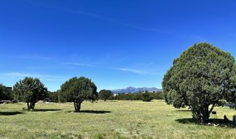 Ute Court lot 9, Alto, NM 88312