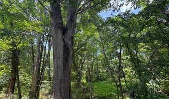 FOX RUN lot 24A 3.22 Ac, Baker, WV 26801