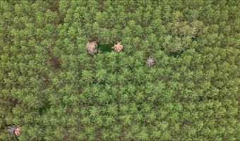 391 Twin Lakes Trl, Nekoosa, WI 54457