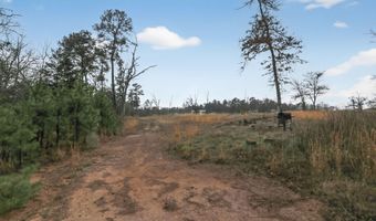 868 County Road 2920, Alba, TX 75410
